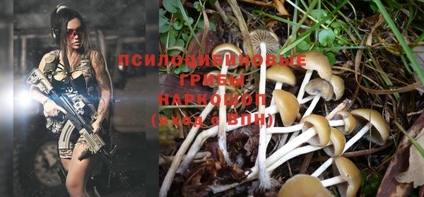 ПСИЛОЦИБИНОВЫЕ ГРИБЫ Баксан
