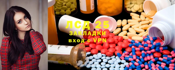ПСИЛОЦИБИНОВЫЕ ГРИБЫ Баксан