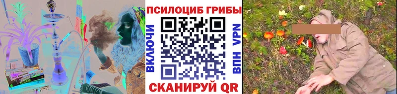 Псилоцибиновые грибы мицелий  mega ONION  Заречный 