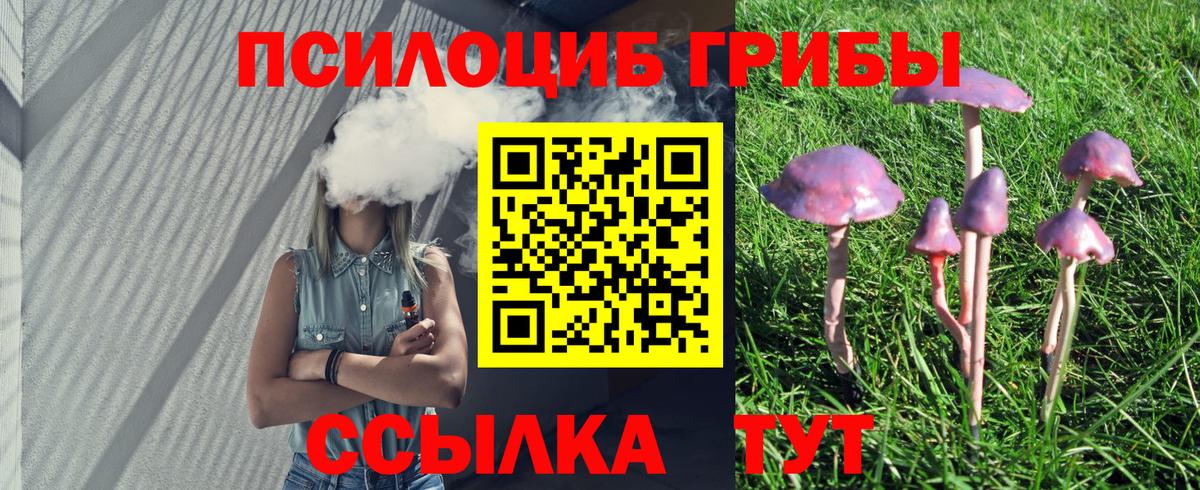 Галлюциногенные грибы Cubensis Заречный
